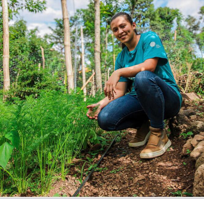 Find content in support of FAO projects worldwide.