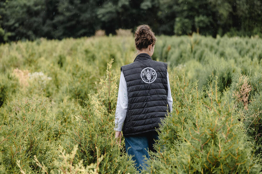 This selection of the FAO Digital Media Hub showcases images of staff and experts from the Food and Agriculture Organization of the United Nations at work in the field.
This collection features operations in agriculture, fisheries, forestry, food safety, and more — with visible FAO branding and a strong link to real-world impact.