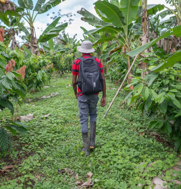 Find content in support of FAO projects worldwide.