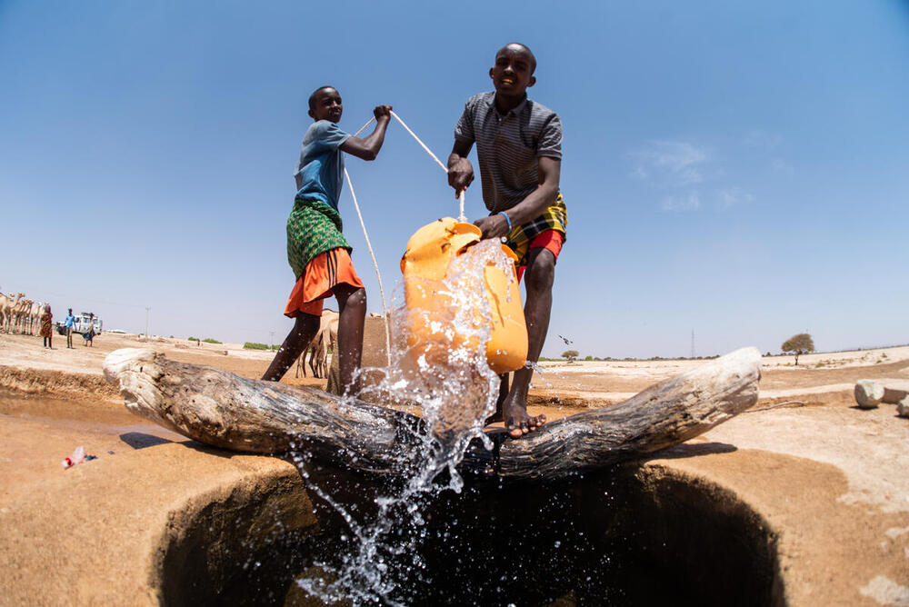 The FAO Digital Media Hub contains a collection of nearly 200,000 still images illustrating the Organization’s work to fight hunger and build a more sustainable, equitable world. The collection covers FAO and partner projects, news events and thematic images, as well as a selection of the historical archive dating back to FAO’s founding in 1945.

In the Digital Media Hub you can search and view images, create and share selections of images, place orders and download assets.

Please note that we are progressively adding FAO photo collections, including new and archival material, here. Please also note that  <a href="C.aspx?VP3=CMS3&VF=TermsAndConditionsv2_VForm" target="_blank">Terms and Conditions</a> apply to use FAO content.

For further information about photography at FAO or for specific requests, please Email Us.  Photo-Library@fao.org